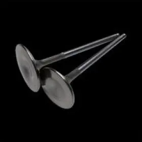 Brian Crower Bcr Bc3303-inc Inconel Exhaust Valves 30mm / 1mm Set Of 12