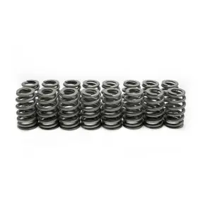 Sp011-16 Brian Tooley Racing Valve Spring Set Beehive 100lbs 1.8 Inch For 01-05 Gm Ls