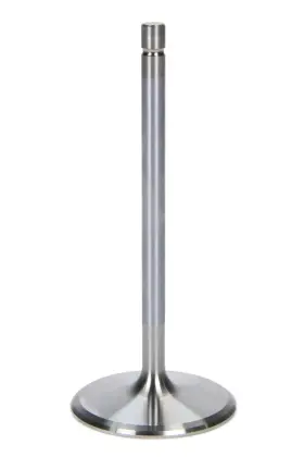 Br-70225 Brodix Br 70225 - Intake Valve
