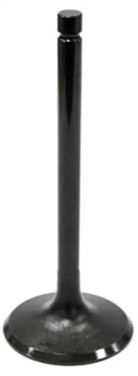 Au-09002e Bronco - Exhaust Valve
