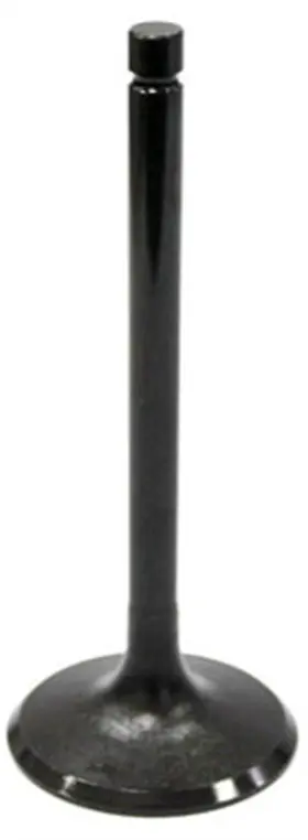 Au-09005e Bronco - Exhaust Valve