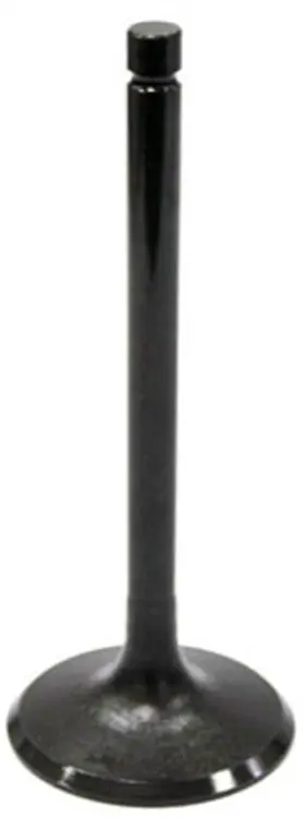 Au-09024e Bronco - Exhaust Valve
