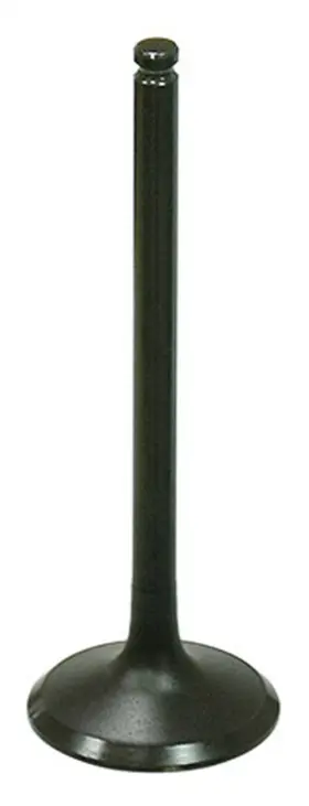 Au-09201e Bronco - Exhaust Valve