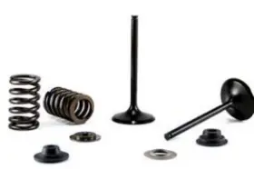 Au-09207e Bronco Exhaust Valve