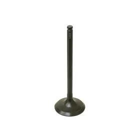 Au-09166e Bronco Products Exhaust Valve Pc