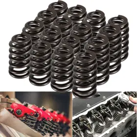 Pac-1219 Ca-auto Caqp036 Beehive Valve Spring Kit For Gm Engines 4.8 5.3 5.7 6.0 6.2 All Ls1-ls9