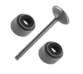 Rr1695xs106pp Caltric 2x Valve Stem Seal And 1x Intake For Yamaha Tri-moto 200 Ytm200 83-85