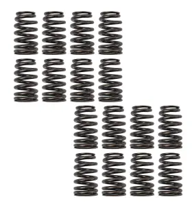 19420455 Chevrolet 193468719079 Oem Gm Chevy Ls Valve Spring Kit 16 Count