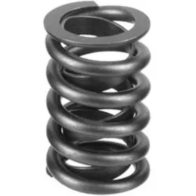 14097002 Chevrolet Performance Valve Spring - Dual