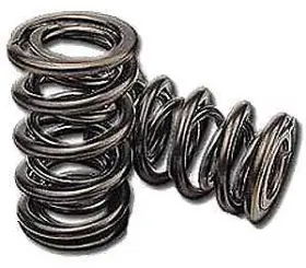 88963934 Chevrolet Performance Valve Spring - Dual