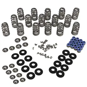 Comp Cams 036584399315 Lift Beehive Spring Kit