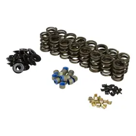 Gt40p Comp Cams 036584419884 Spring Kit Ford Gt40 / Cylinder Head .570 Inch Max Lift