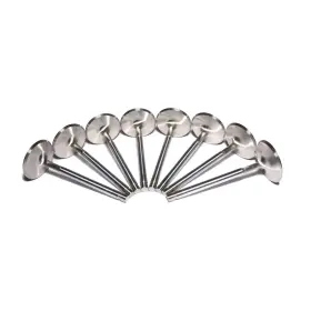 6001-8 Comp Cams Sportsman Stainless Steel Intake Valves Fits Chevy Set/8