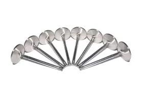 6022-8 Comp Cams Sportsman Intake Valve Set Chevrolet Big Block With 2.250 Inch