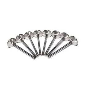 6023-8 Comp Cams Sportsman Stainless Steel Exhaust Valves Fits Chevy Set/8