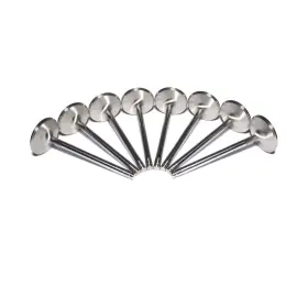 6076-8 Comp Cams Intake Valves