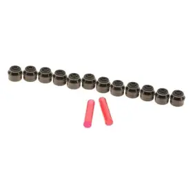 W0133-1638407-cfw Corteco For Bmw X5 2001-2006 Valve Stem Oil Seal Set