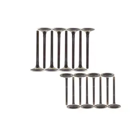 546982 Cpw Engine Exhaust And Intake Valves Fits 92-03 Chrysler Dakota 5.2l 5.9l Magnum