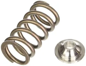 903-2007 Crane Engine Valve Spring Kit