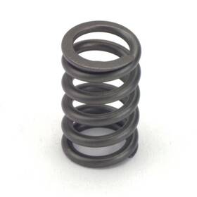 Crower Cams 68190-24 Valve Springs - Single 1.090