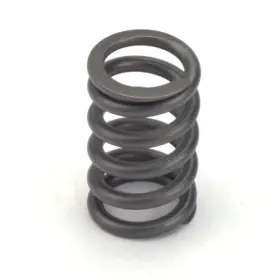 68190-24 Crower Cams Valve Springs - Single 1.090