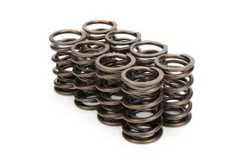 68324-8 Crower Cams Valve Springs - Dual