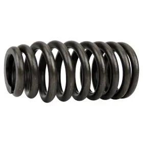 5184060an Crown Valve Spring For Dodge Charger Durango Challenger Chrysler Pacifica