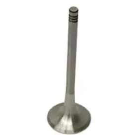 077109611s-ec Crp For Audi S4 2004-2009 Exhaust Valve