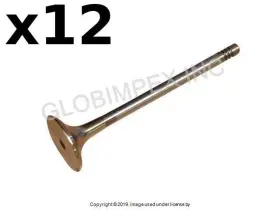 058109611e99-ec Crp Industries Audi / Vw 1997-2006 Exhaust Valve 6 Mm Stem 12 Warranty