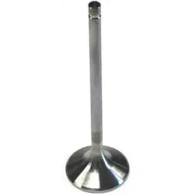 21311600 Dart Exhaust Valve