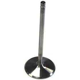 Dart 21342300 Intake Valve