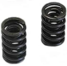 22000050 Dart Valve Spring - Dual