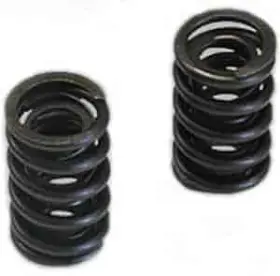22000111 Dart Valve Spring - Dual 1.295 O.d. Ls1 1/pkg