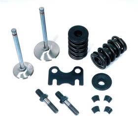 Dart 28111000 Valve Spring Kit 2.02/1.60 Stainless For Small Block Chevy