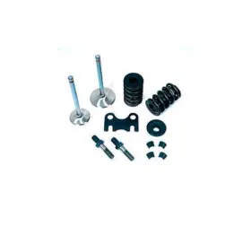 28212000 Dart Valve Spring Kit 2.05/1.60 Stainless For Small Block Chevy