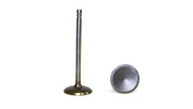 Iv1135 Dj Rock Engine Intake Valve For Town And Country Caravan More