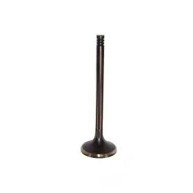 Ev1162 Dnj Engine Components Exhaust Valve-vin W Ohv Hemi 16 Valves