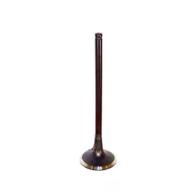 Ev174 Dnj Engine Components Exhaust Valve Fits 2006-2015 Kia Sedona Sorento Amanti Engin