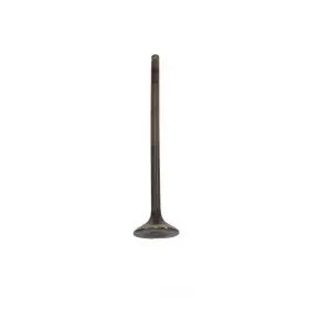 Ev246a Dnj Engine Components Exhaust Valve-cng Sohc Eng Code R18a4 I-vtec 16 Valves Fits Civic L4