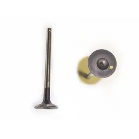 Ev325 Dnj Engine Components Exhaust Valve For 04-08 Chevrolet Aveo Aveo5