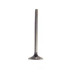 Ev328 Dnj Engine Components Exhaust Valve Fits 1995-1997 Pontiac Sunfire