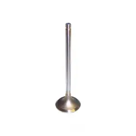 Ev329 Dnj Engine Components Exhaust Valve-vin 4 Ohv Vortec 8 Valves