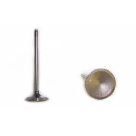 Ev332 Dnj Engine Components Exhaust Valve