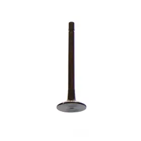 Ev4104 Dnj Engine Components Exhaust Valve-vin F Ohv 16 Valves