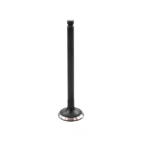 Ev415 Dnj Engine Components Exhaust Valve-vin H Sohc 8 Valves