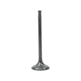 Ev4317 Dnj Engine Components Exhaust Valve-vin J Ohv Hemi 16 Valves