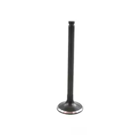 Ev608b Dnj Engine Components Exhaust Valve-sohc Eng Code L20b 8 Valves