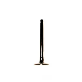 Ev900 Dnj Engine Components Exhaust Valve-sohc Eng Code 22r 8 Valves