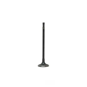 Iv1174 Dnj Engine Components Intake Valve