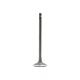 Iv119 Dnj Engine Components Intake Valve-vin C Sohc 16 Valves